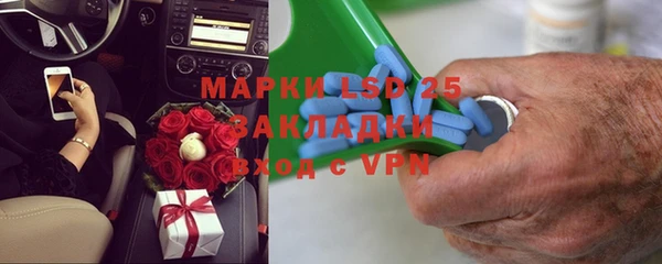 индика Вязники