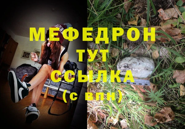 индика Вязники