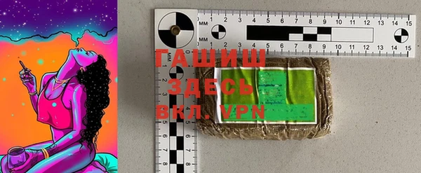 индика Вязники