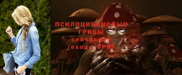 не бодяженный Волоколамск
