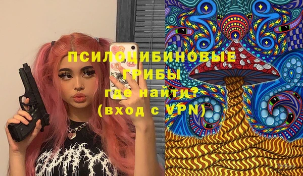 индика Вязники